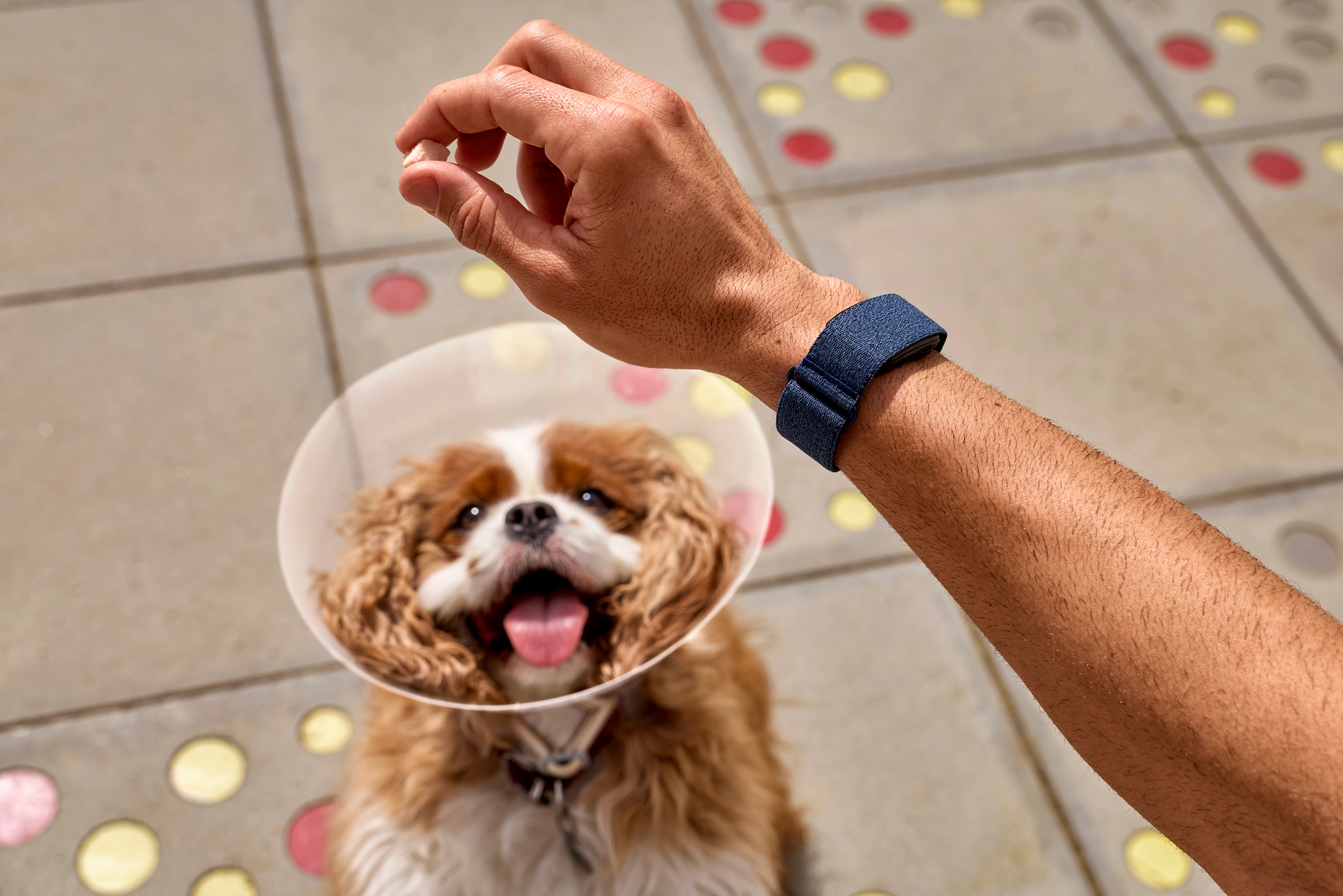 CIRQA™ Smart Band - Image 11